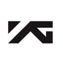 YG